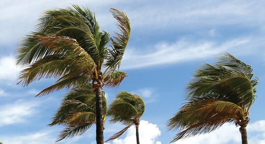 GAF WindProven™Wind Speed Protection for Roof